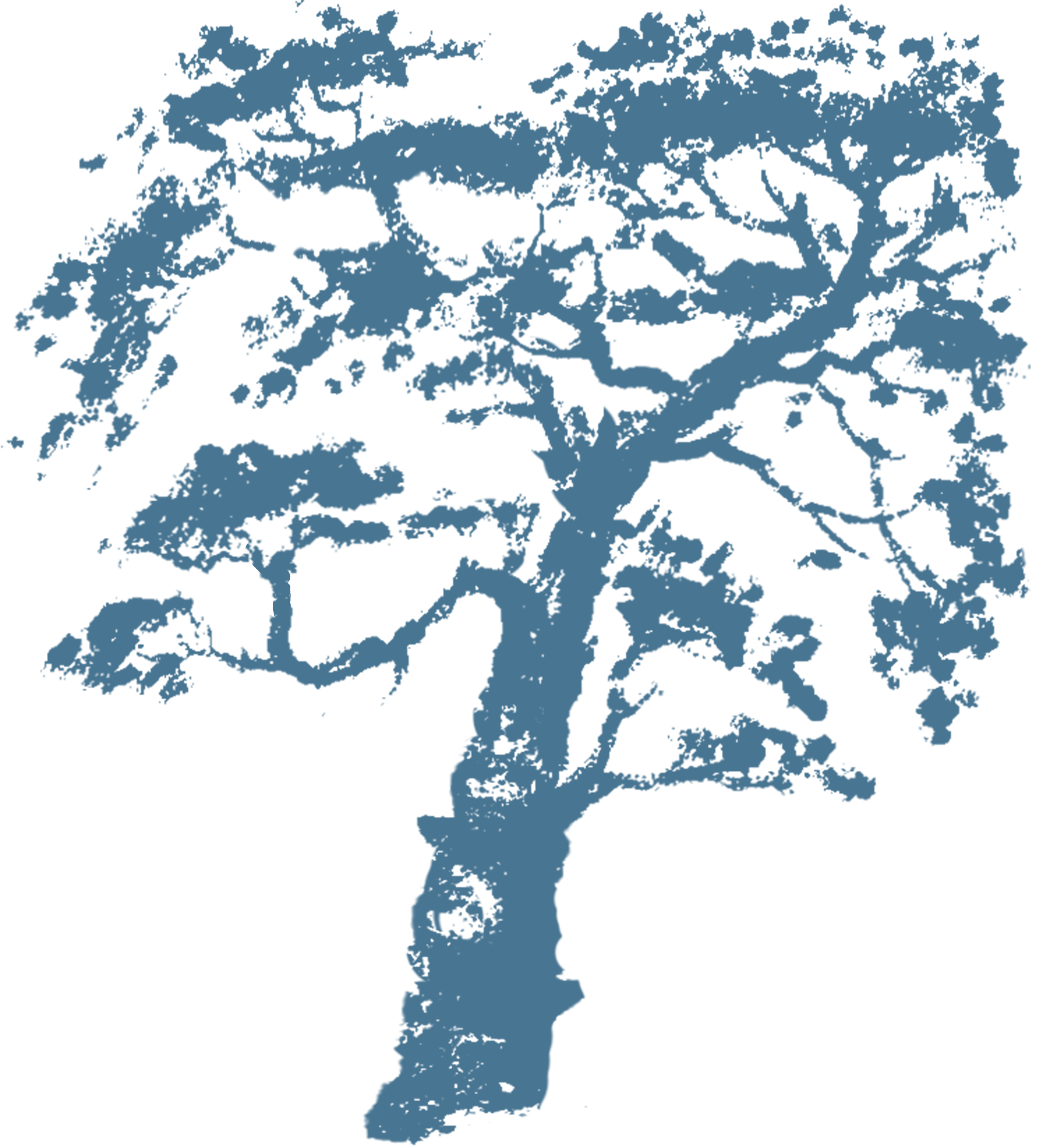 Illustration of tree