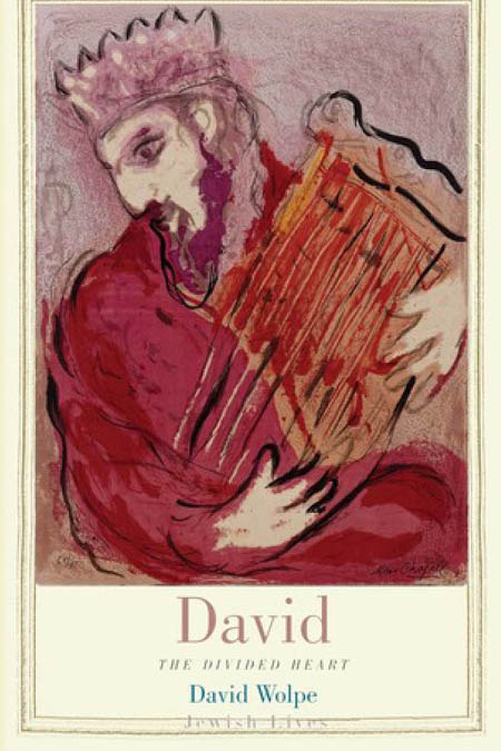 King David book cover