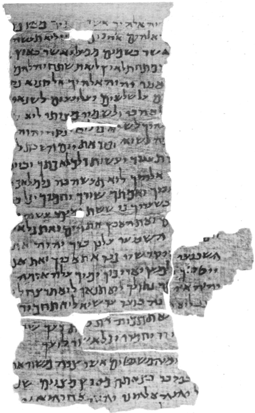 black and white scan of a papyrus fragment