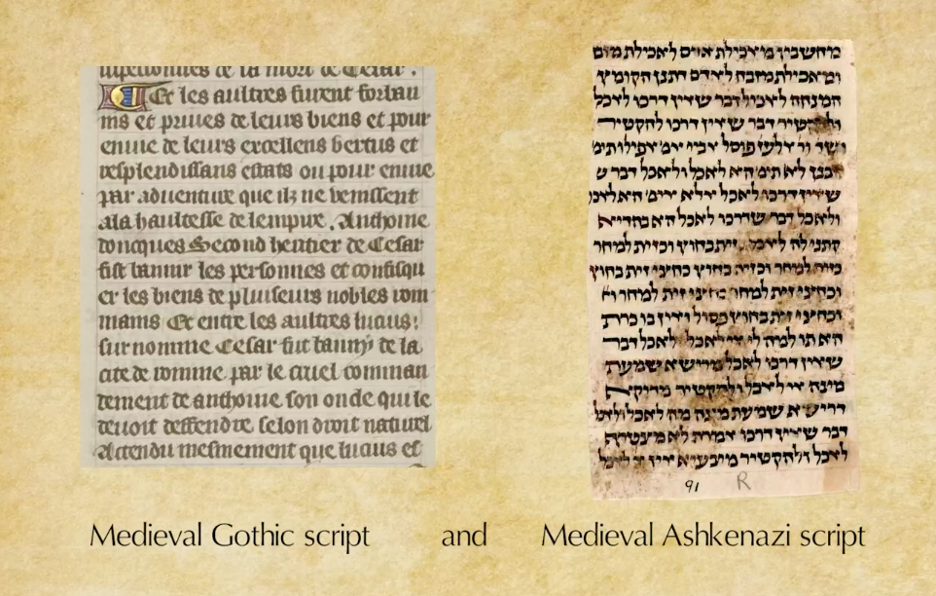 A comparison between medieval scripts