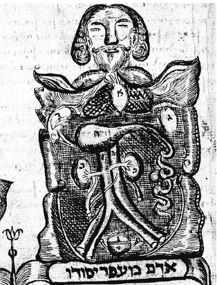 Illustrated diagram of the body.