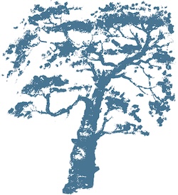 Tree illustration
