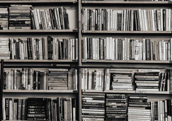 black and white photograph of bookshelves