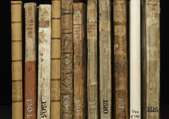 oppenheim bookshelf photograph with book spines lined