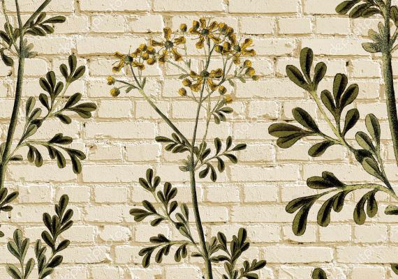 ruta plant illustration on top of beige brick background