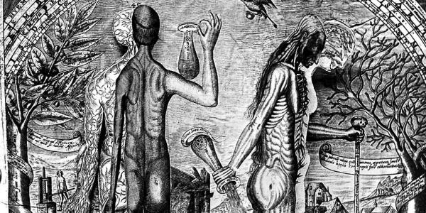 Premodern Histories of Jews, Medicine, and Health in the Global Age