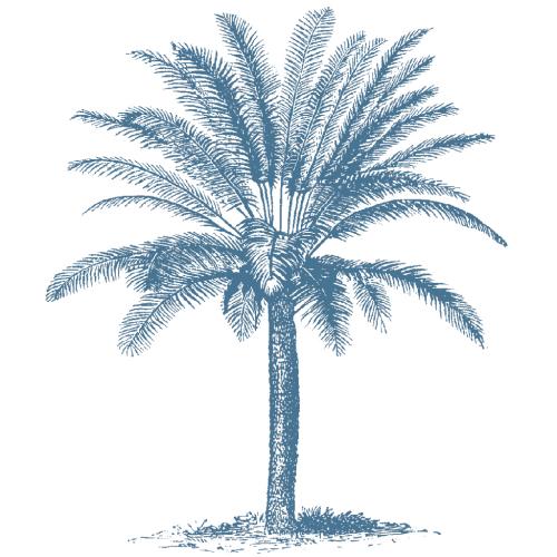 blue palm tree illustration