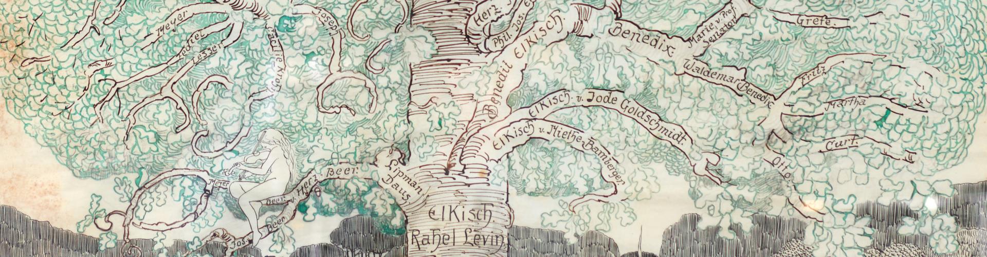 family tree illustration