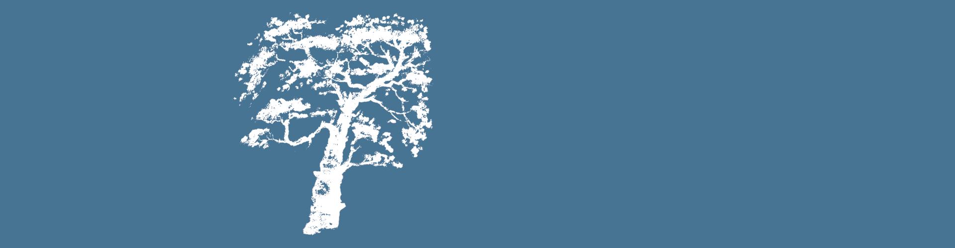 Simple illustration of tree.